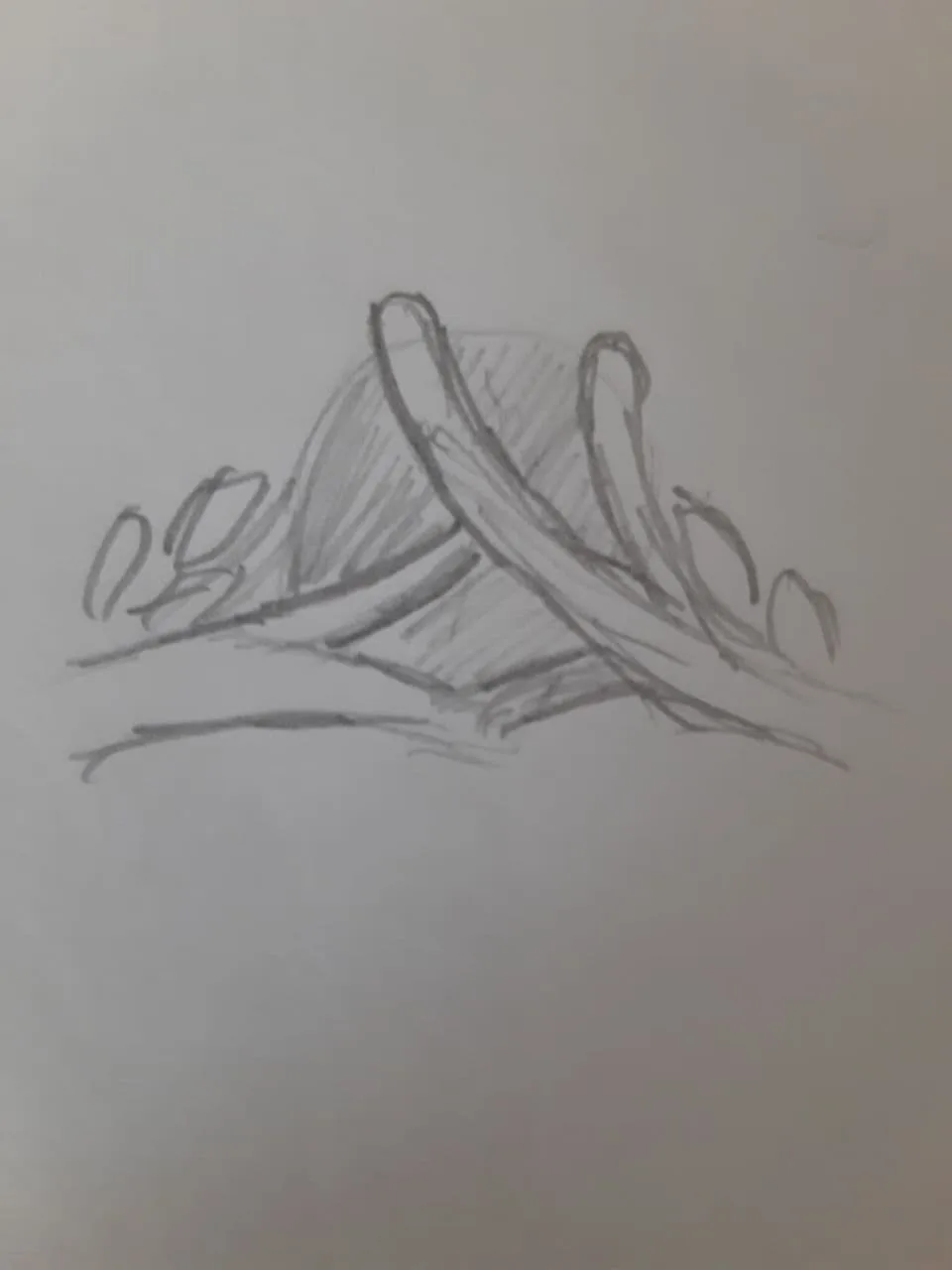 photo_2021-04-25_23-16-00 (2)